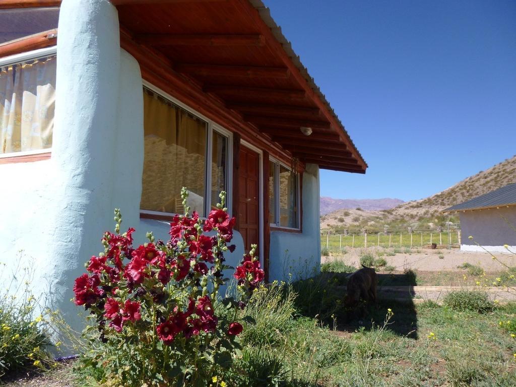 Valle Del Cielo Успальята Номер фото